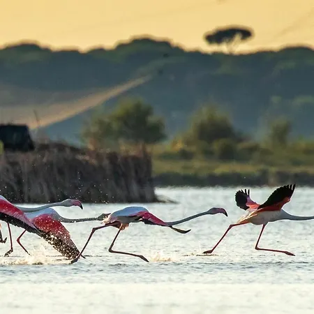 Meridiana Family & Nature فندق